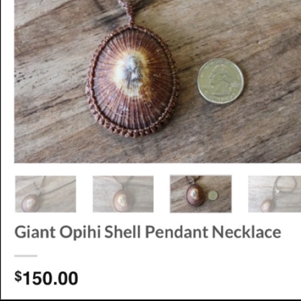 🖤Vtg Hawaiian Opihi shell pendant necklace - Picture 13 of 13